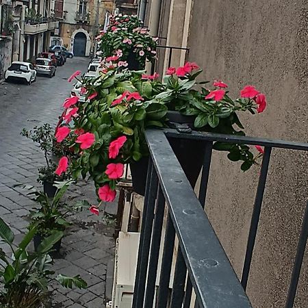 Nimia B&B Di Nic & Fra Катания Экстерьер фото